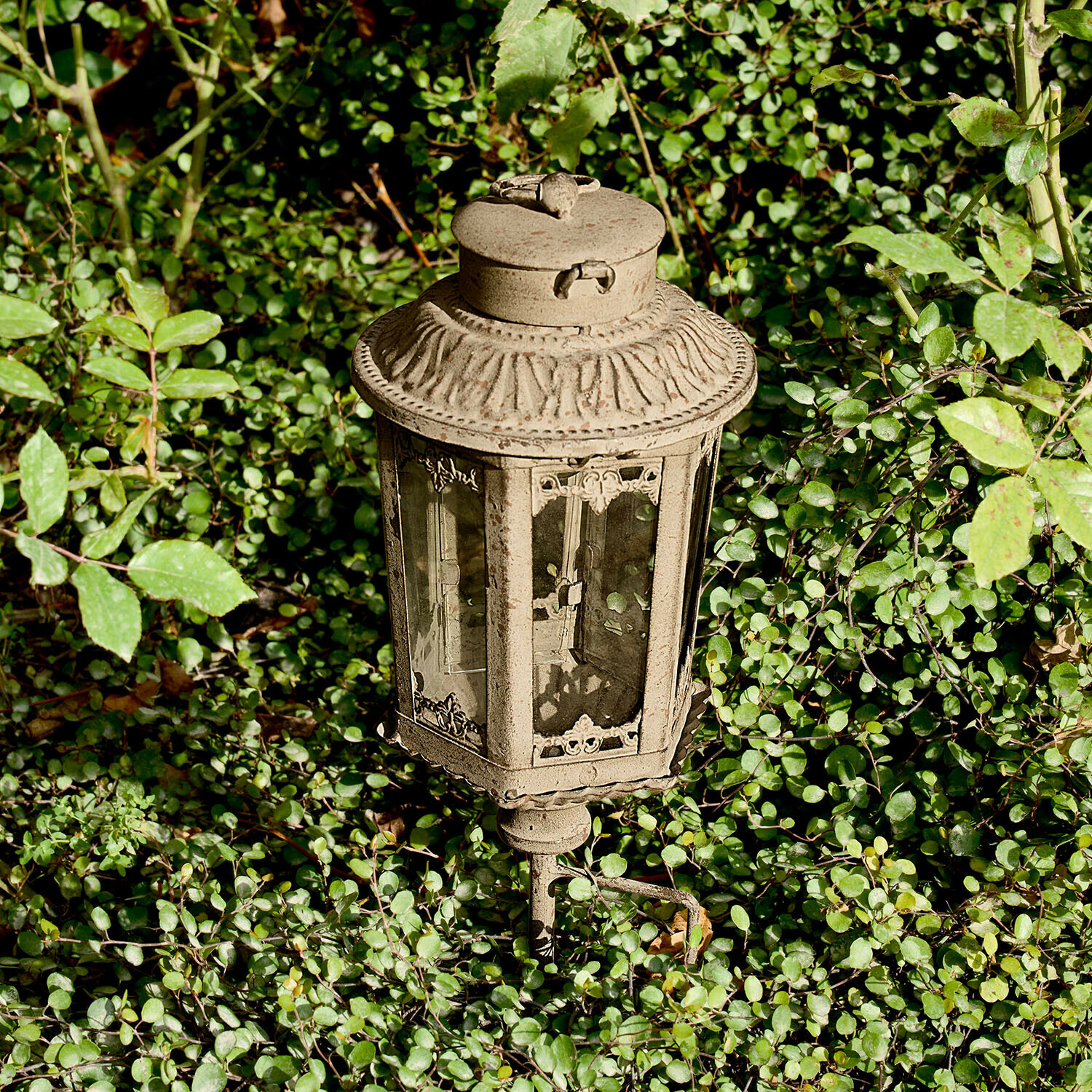 LED-Laterne Quendira Beige Metall-Gartenlaterne mit Glas, dekorativer Außenschmuck umgeben von grünem Laub