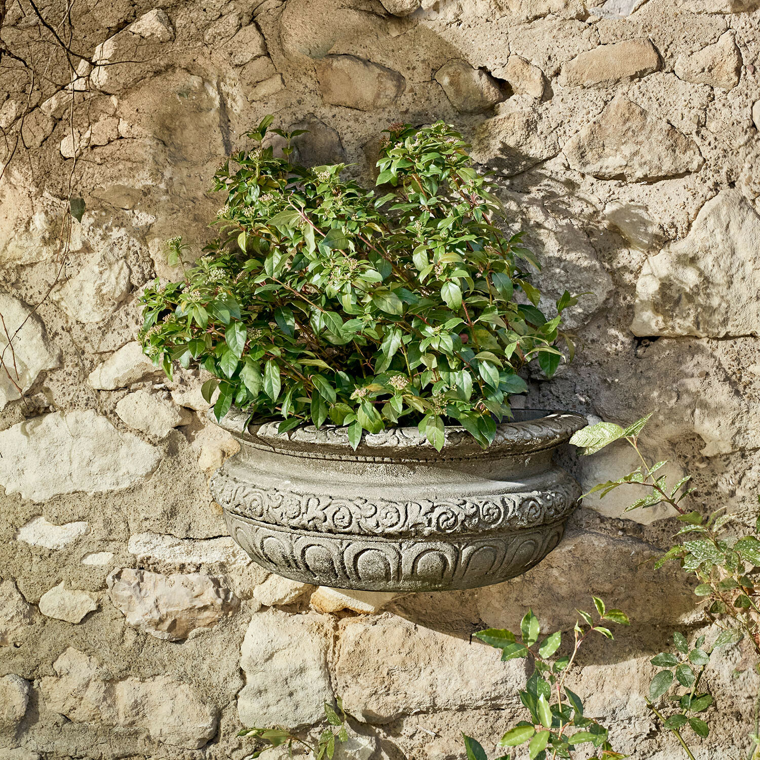 Übertopf Lendoria Dekorativer Wand-Blumentopf aus Beton mit grünen Blättern vor rustikaler Steinmauer
