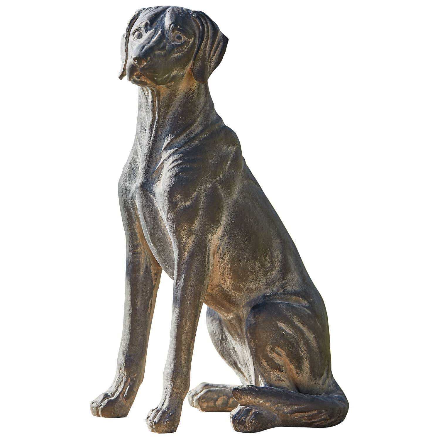 Hund Healy