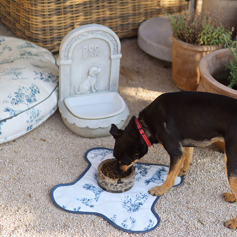 Schwarzer Hund mit rotem Halsband frisst aus steinerner Futterschale auf weißer Matte mit blauem Muster