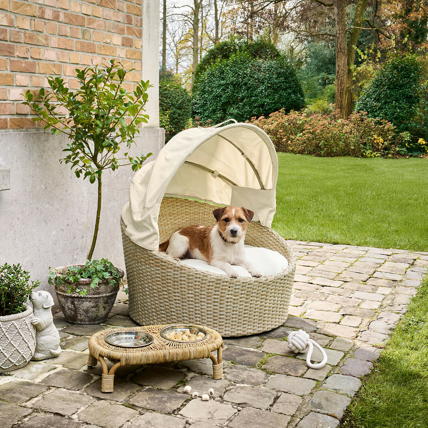 In- & Outdoor-Haustierkorb Brinelza Beige Rattan-Hundebett mit Sonnendach im Garten, kleiner braun-weißer Hund liegt darin