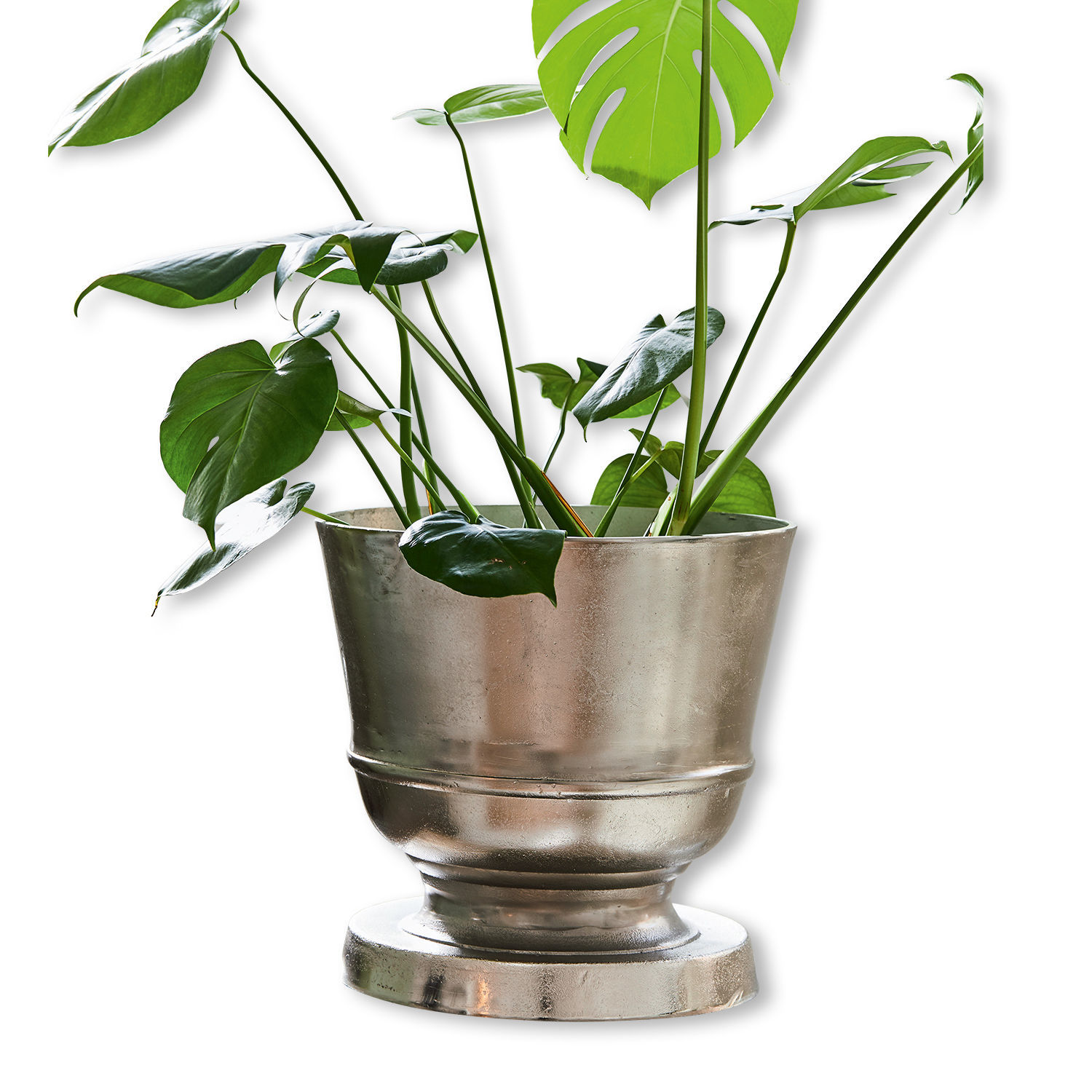 Vase Lynlei