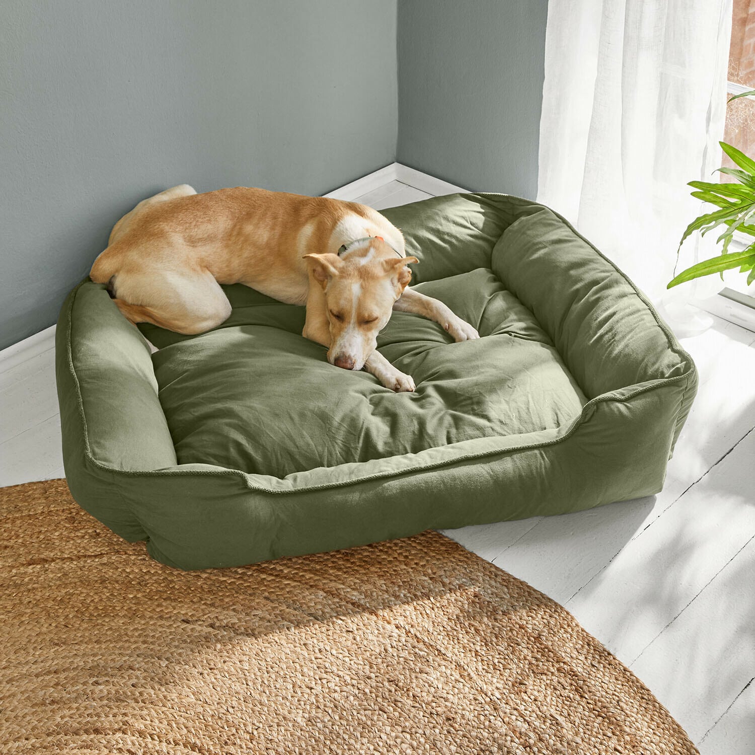 Haustierbett Ivandelle