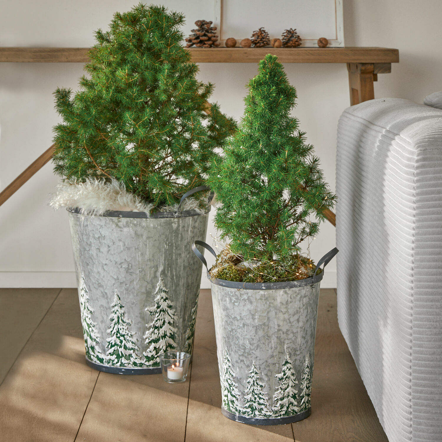 Zwei verzinkte Metallbehälter mit grünen Pflanzen und winterlichem Tannenbaum-Motiv auf Holzboden