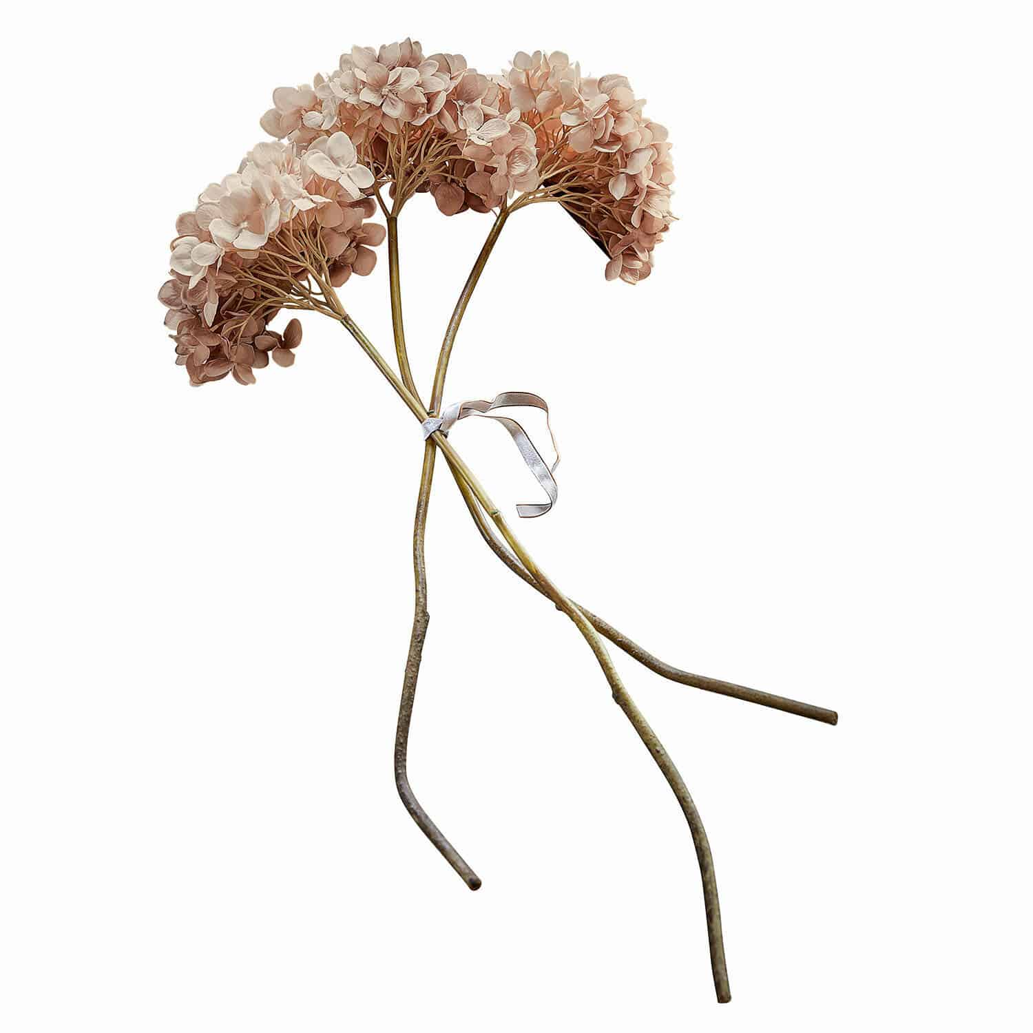 Deko-Blume 3er Set Amarente Strauß getrockneter Hortensienblüten in Beige-Braun für natürliche Wohnraumdekoration