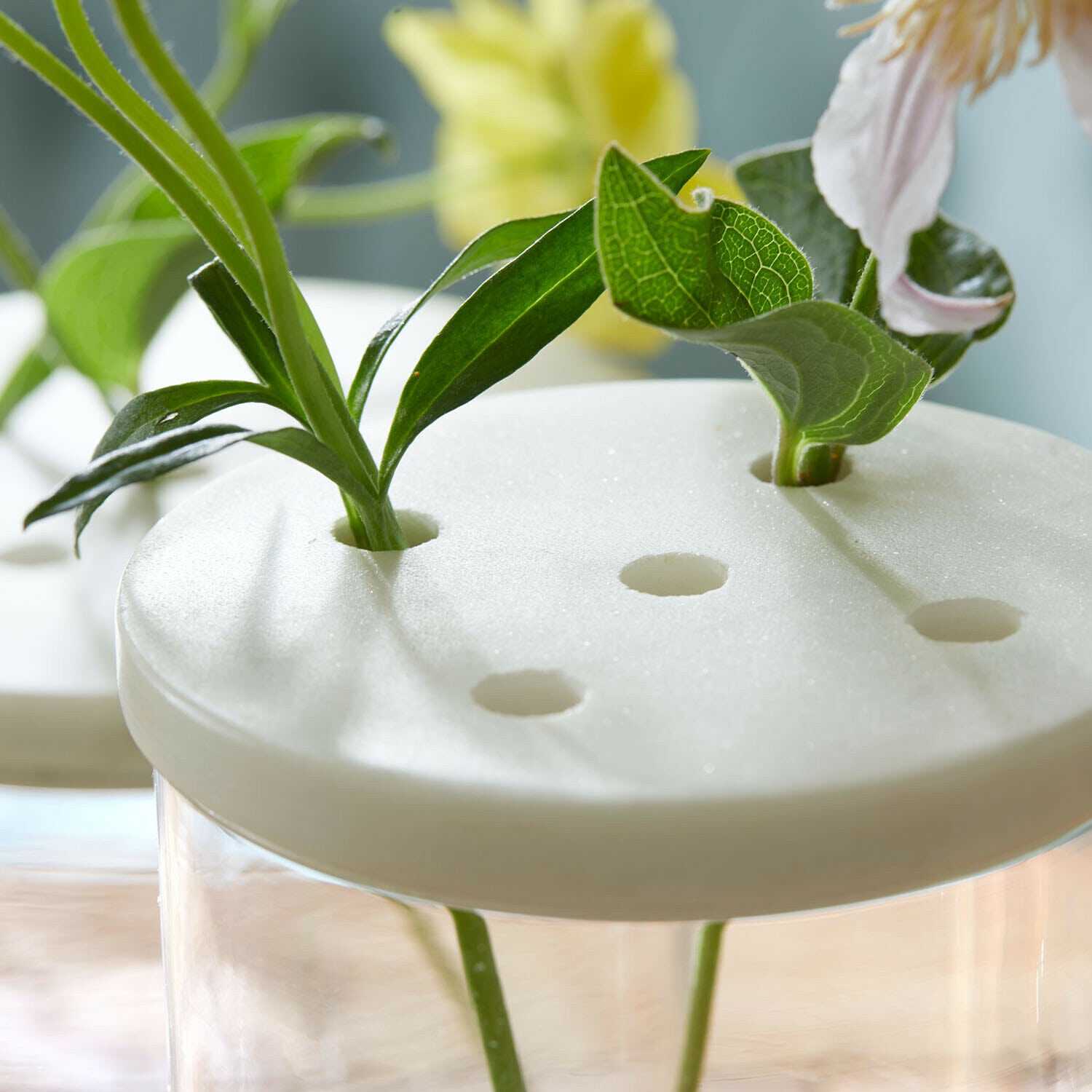 Glasdose 2er Set Rosanella