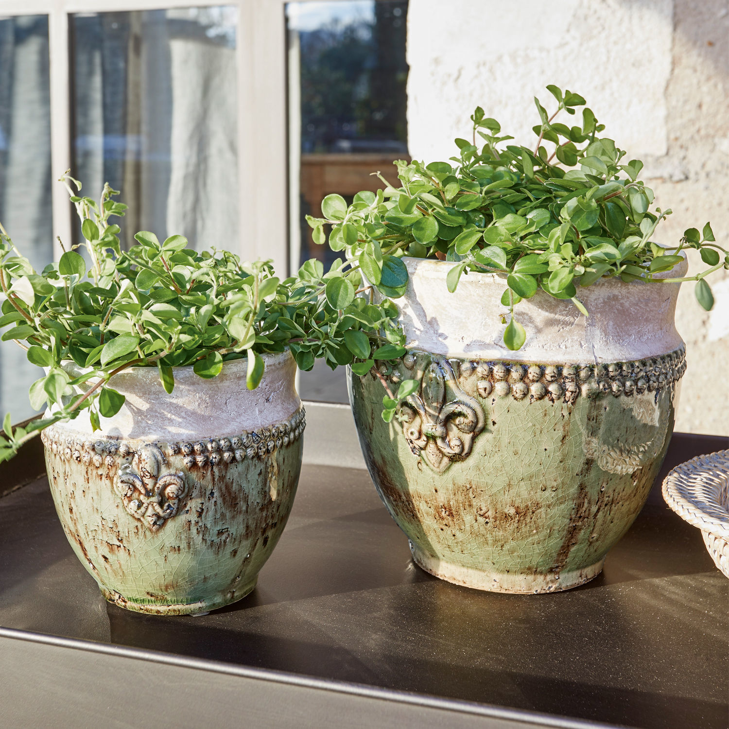 Übertopf 2er Set Montcony Zwei grün-beige Keramikblumentöpfe mit Pflanzen auf Gartentisch bei Sonnenschein