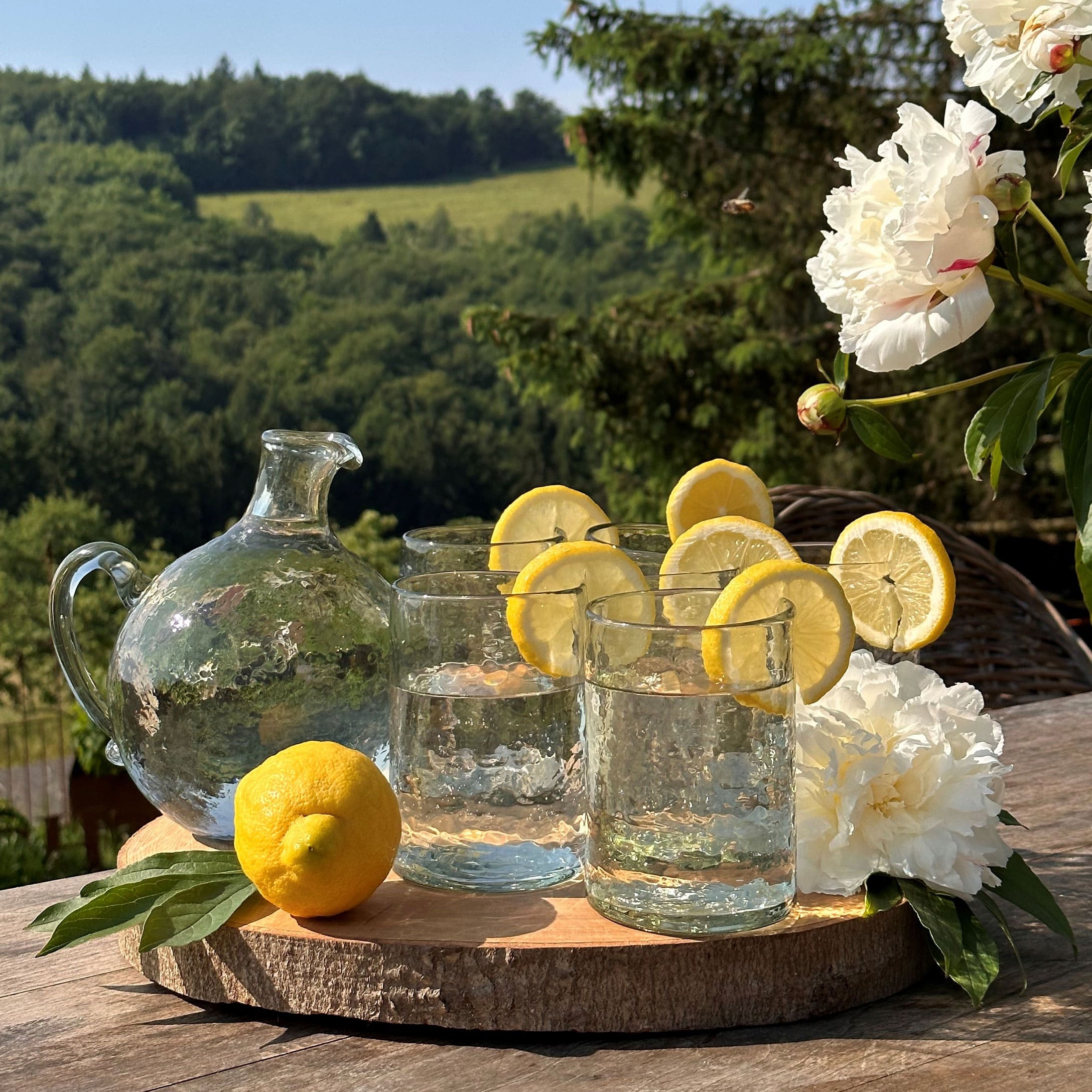 Glaskrug und Gläser mit Wasser und Zitronenscheiben auf Holztablett vor grünem Landschaftshintergrund