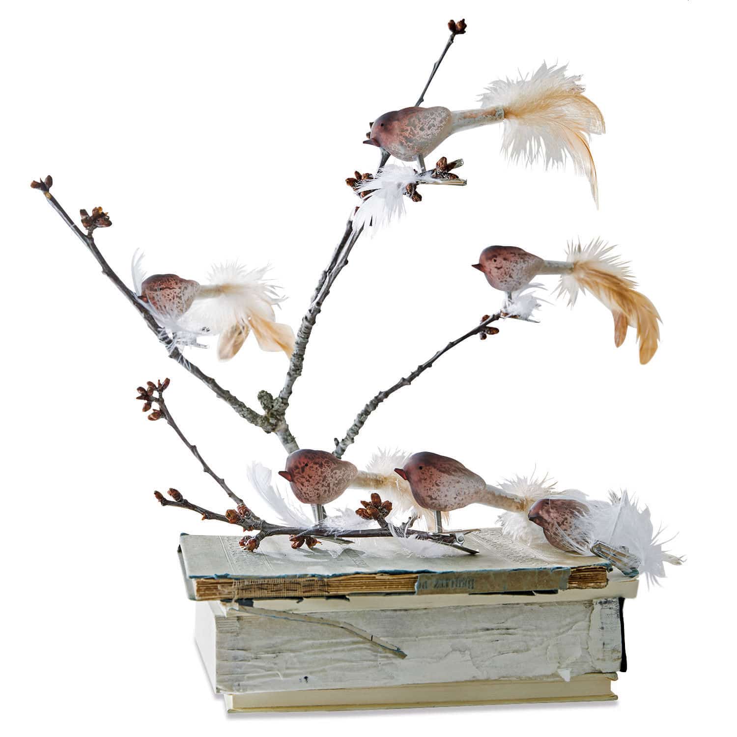 Vogel 6er Set Ceallach