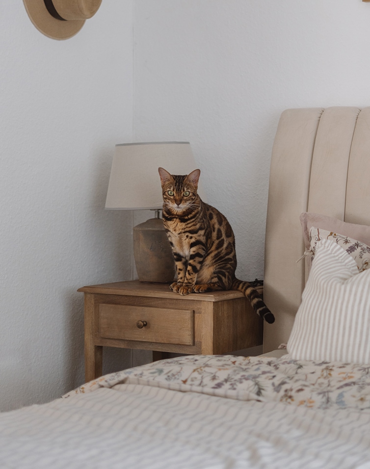 Harmonie in Beige
