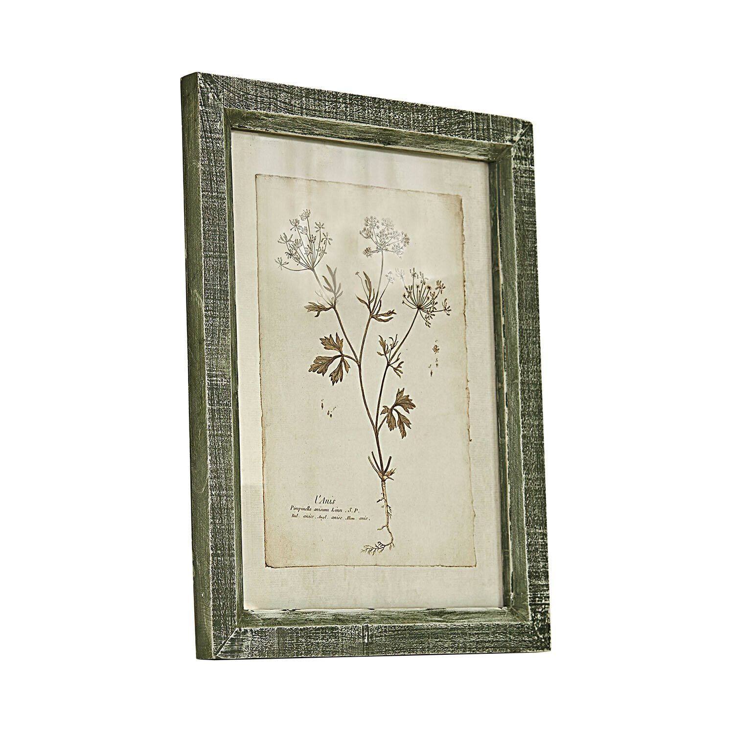 Botanisches Bild mit grünem Holzrahmen und Pflanzenzeichnung auf beigem Hintergrund zur Wanddekoration