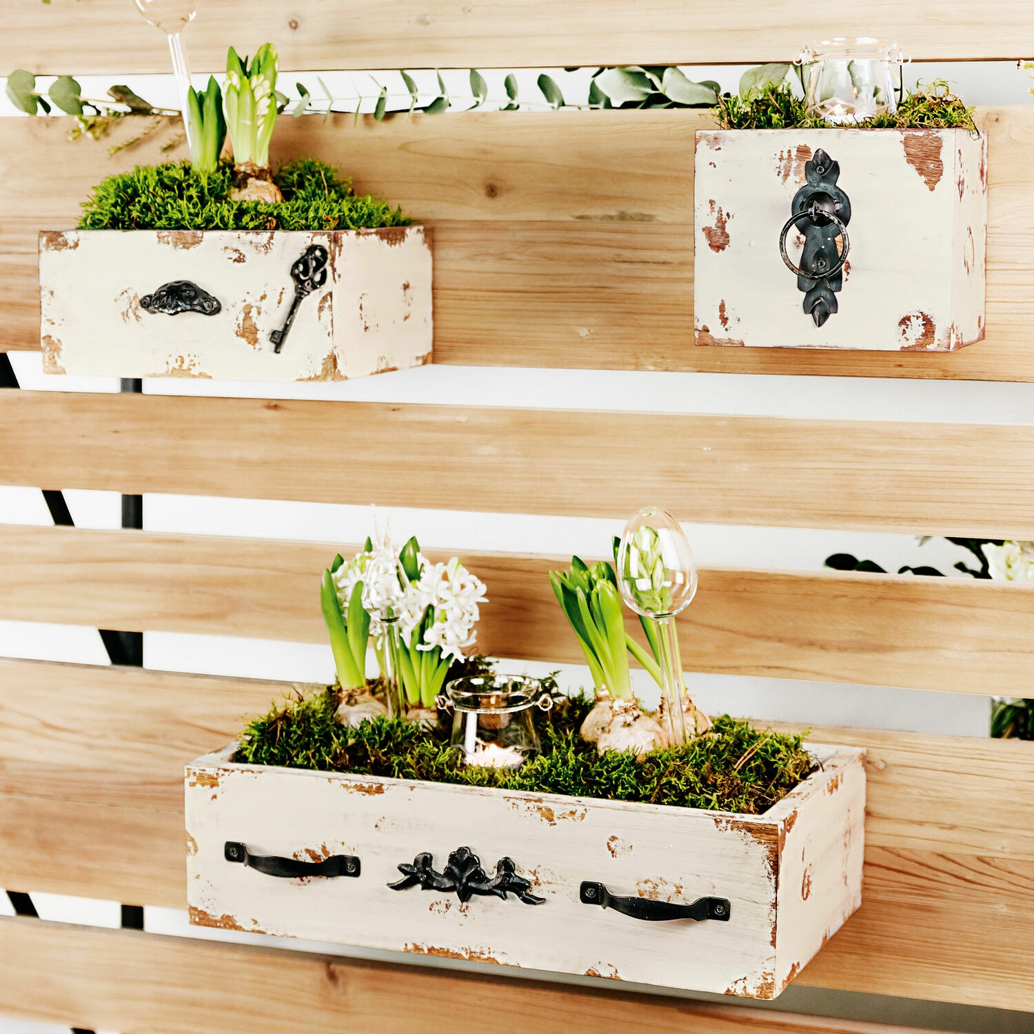 Stylebox Frühlingserwachen Rustikale weiße Holzkisten mit Metallgriffen und grünen Pflanzen an der Wand