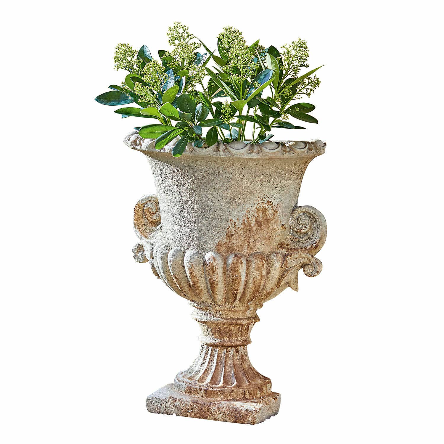 Amphore Cevio Dekorativer Steintopf in Beige mit grünen Blättern, ideal für Garten oder Terrasse
