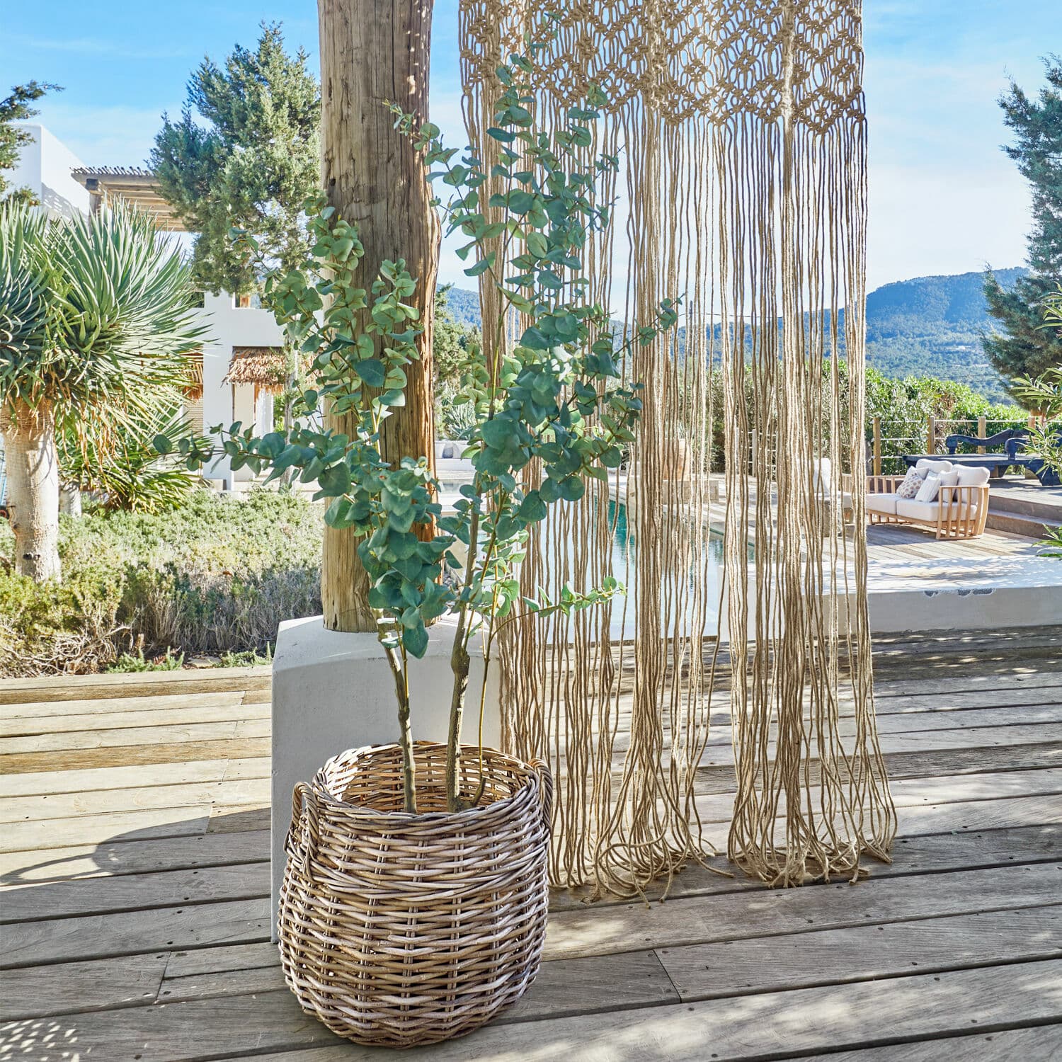 Deko-Topfpflanze Dorevi