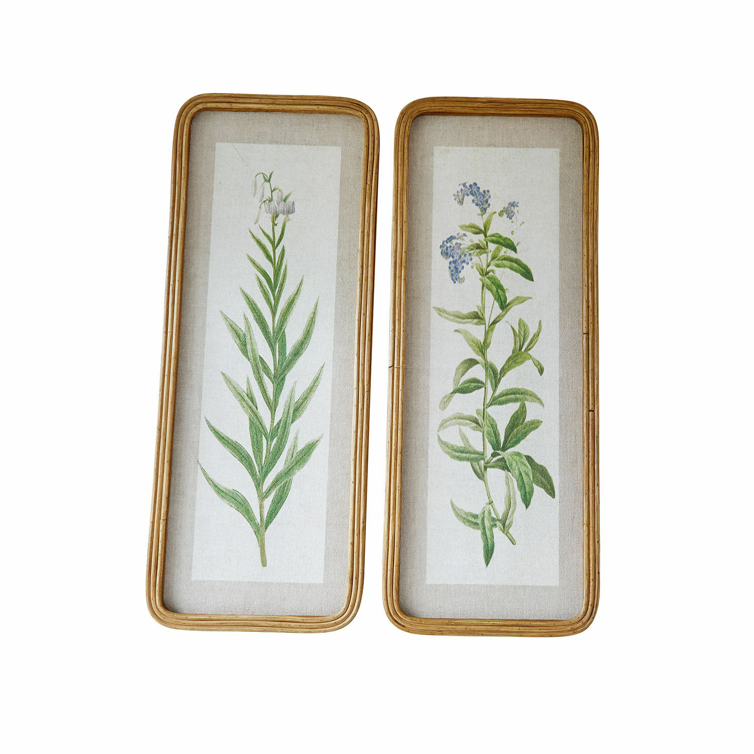 Bild 2er Set Cenori Set aus zwei botanischen Bildern mit Pflanzenmotiven in Holzrahmen auf Leinenhintergrund