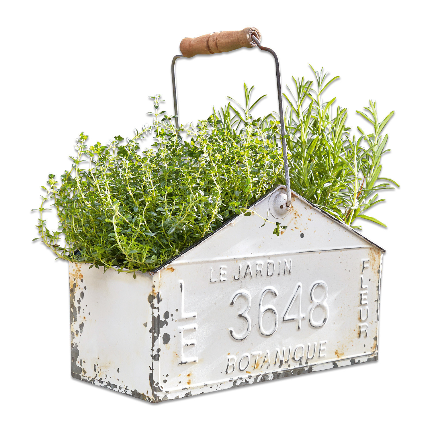 Korb Botanique Weiße Metallpflanzbox mit Holzgriff und grünen Kräutern, Vintage-Gartendekoration