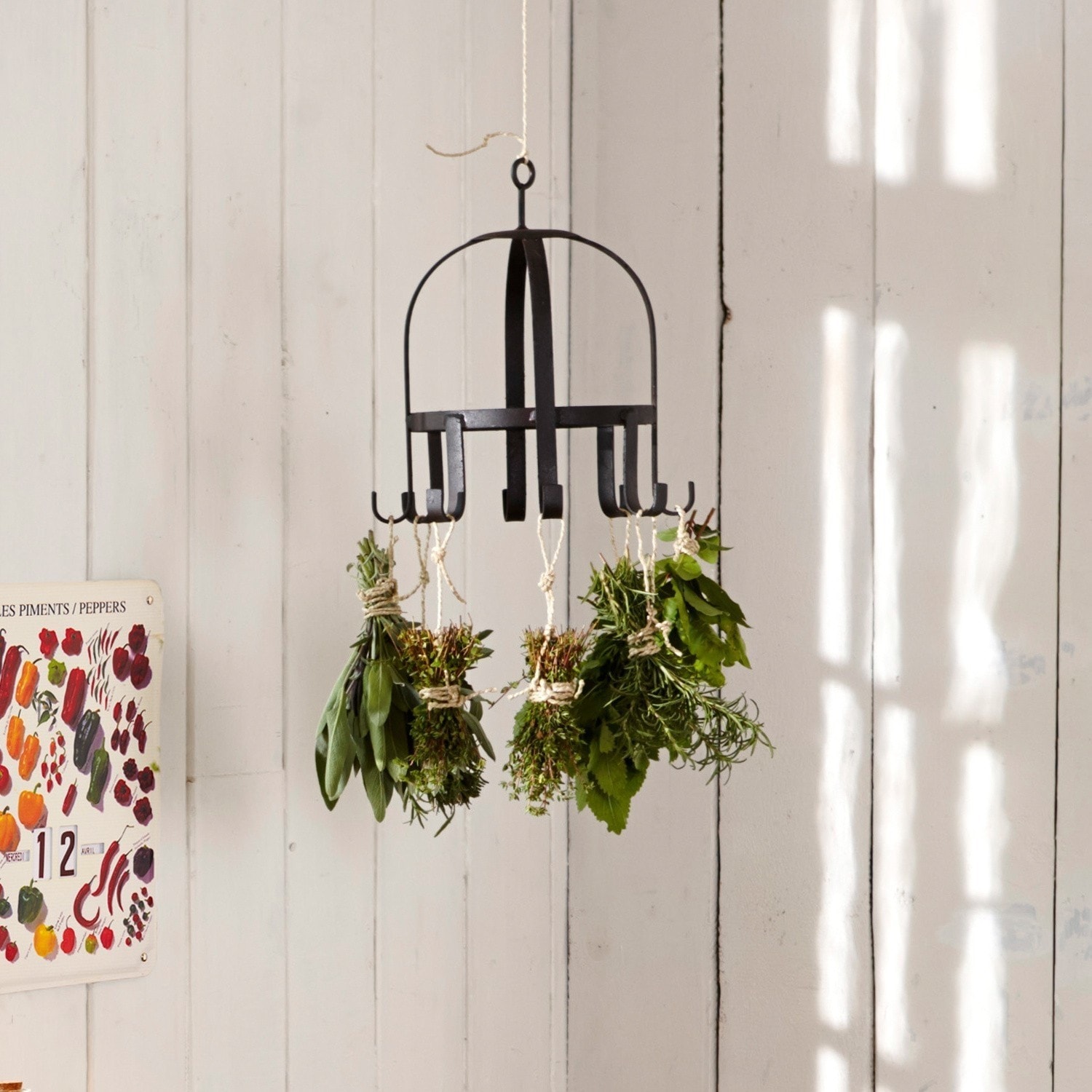 Kräuterkrone Elanor