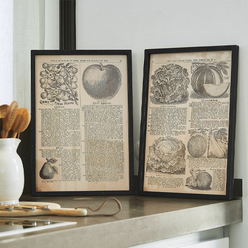 Zwei schwarze Rahmen mit Vintage-Illustrationen von Obst und Gemüse auf Küchenarbeitsplatte
