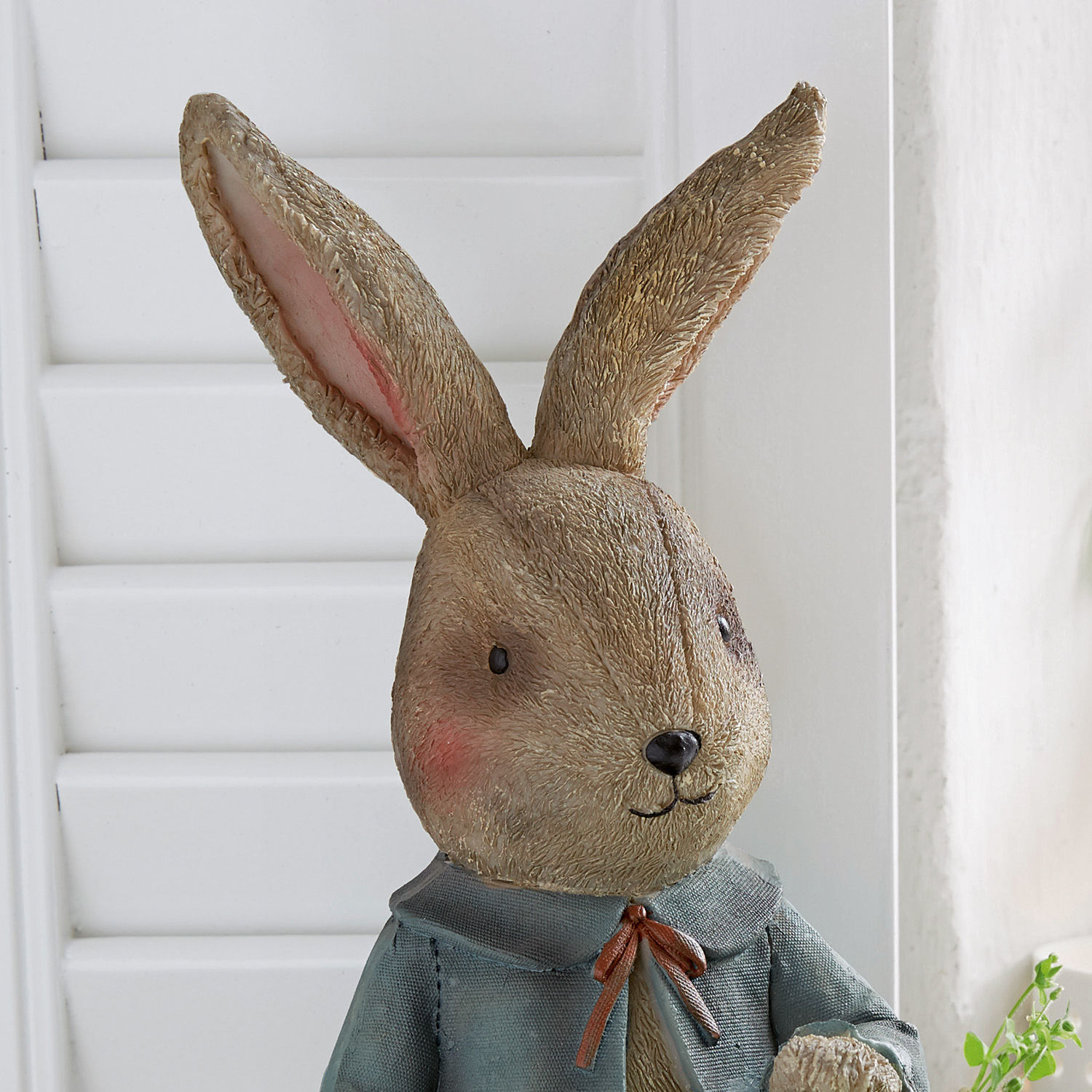 Hase Auvergne