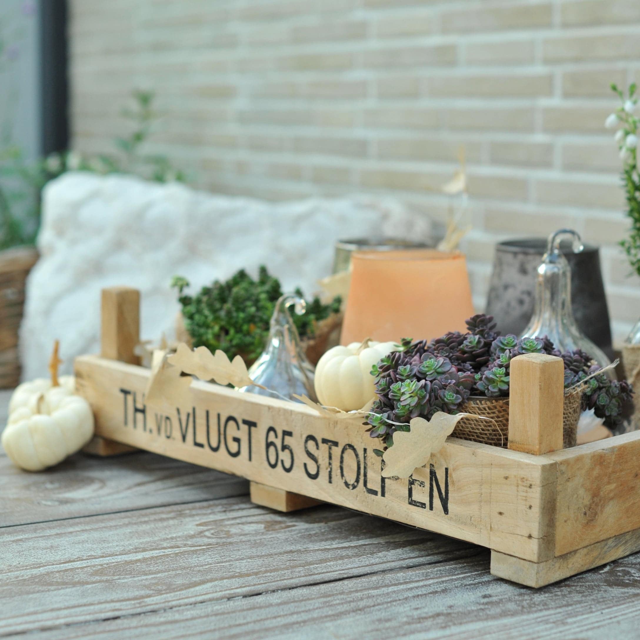 Holzkiste mit herbstlicher Dekoration, weißen Kürbissen und Sukkulenten auf Gartentisch