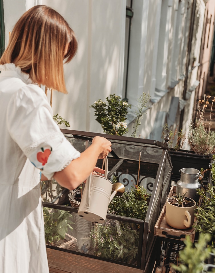 Frau gießt Pflanzen in einem kleinen Glashaus auf dem Balkon an einem sonnigen Tag