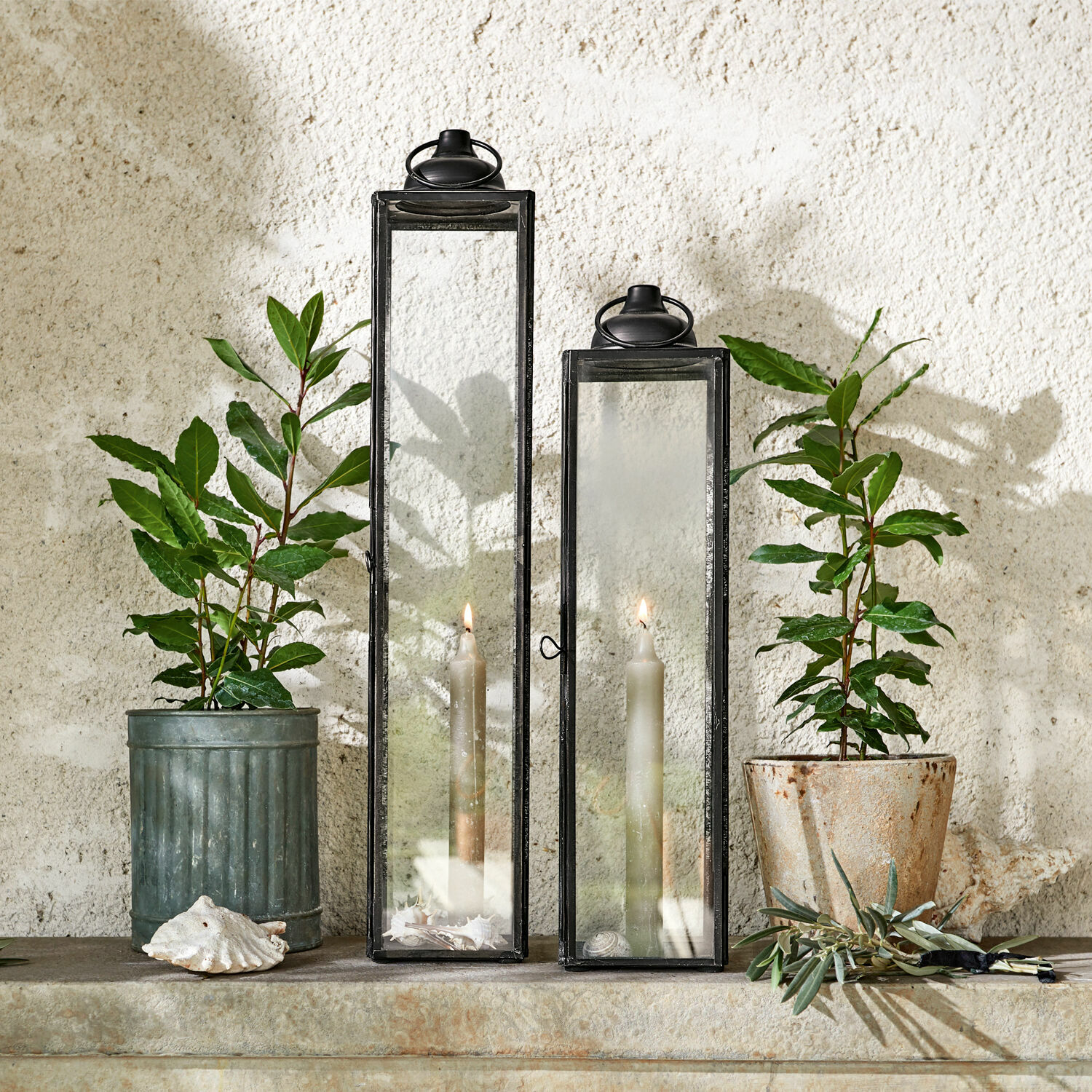 Laterne 2er Set Radu Zwei schwarze Metalllaternen mit klarem Glas und weißen Kerzen vor Wand mit grünen Pflanzen