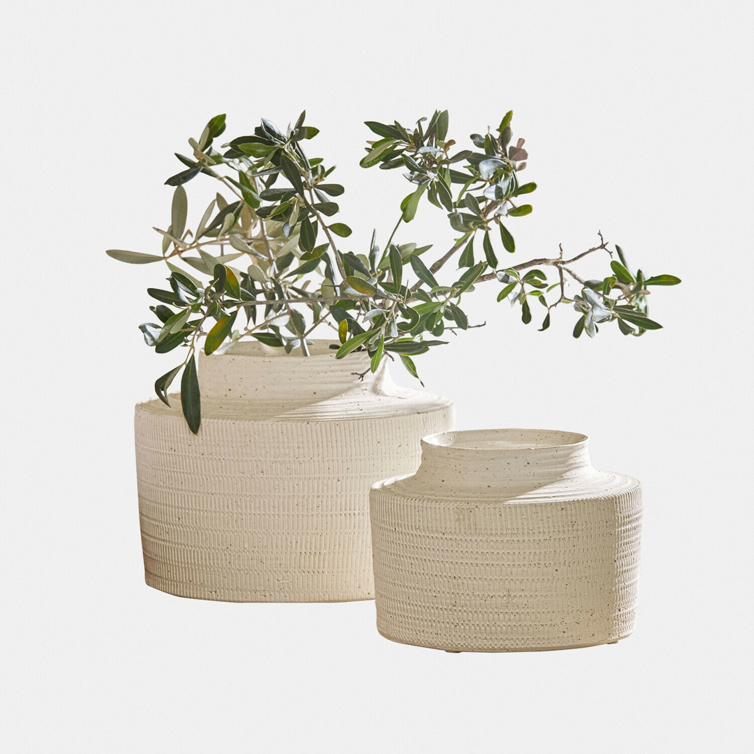 Vase 2er Set Délavrie Set aus zwei cremefarbenen, strukturierten Keramikvasen mit grünen Zweigen, stilvolle Wohnraumdekoration