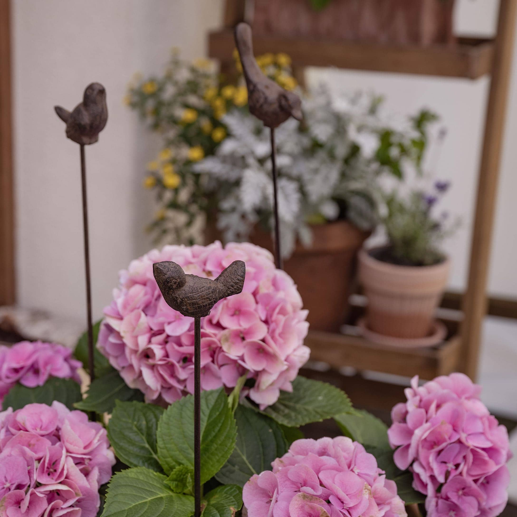 Dekorative Metallvögel auf Stäben zwischen rosa Hortensienblüten im Garten