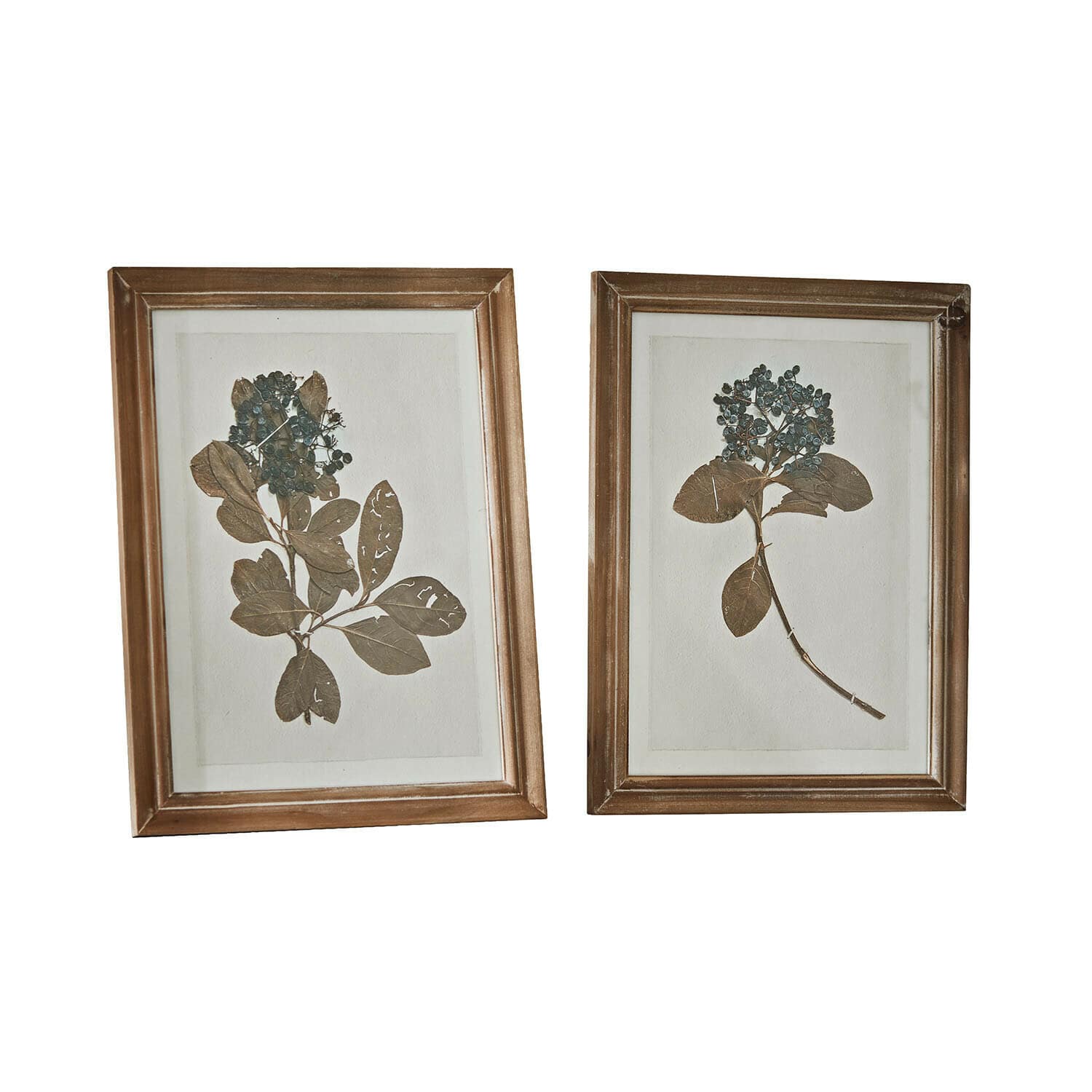 Bild 2er Set Tanneau