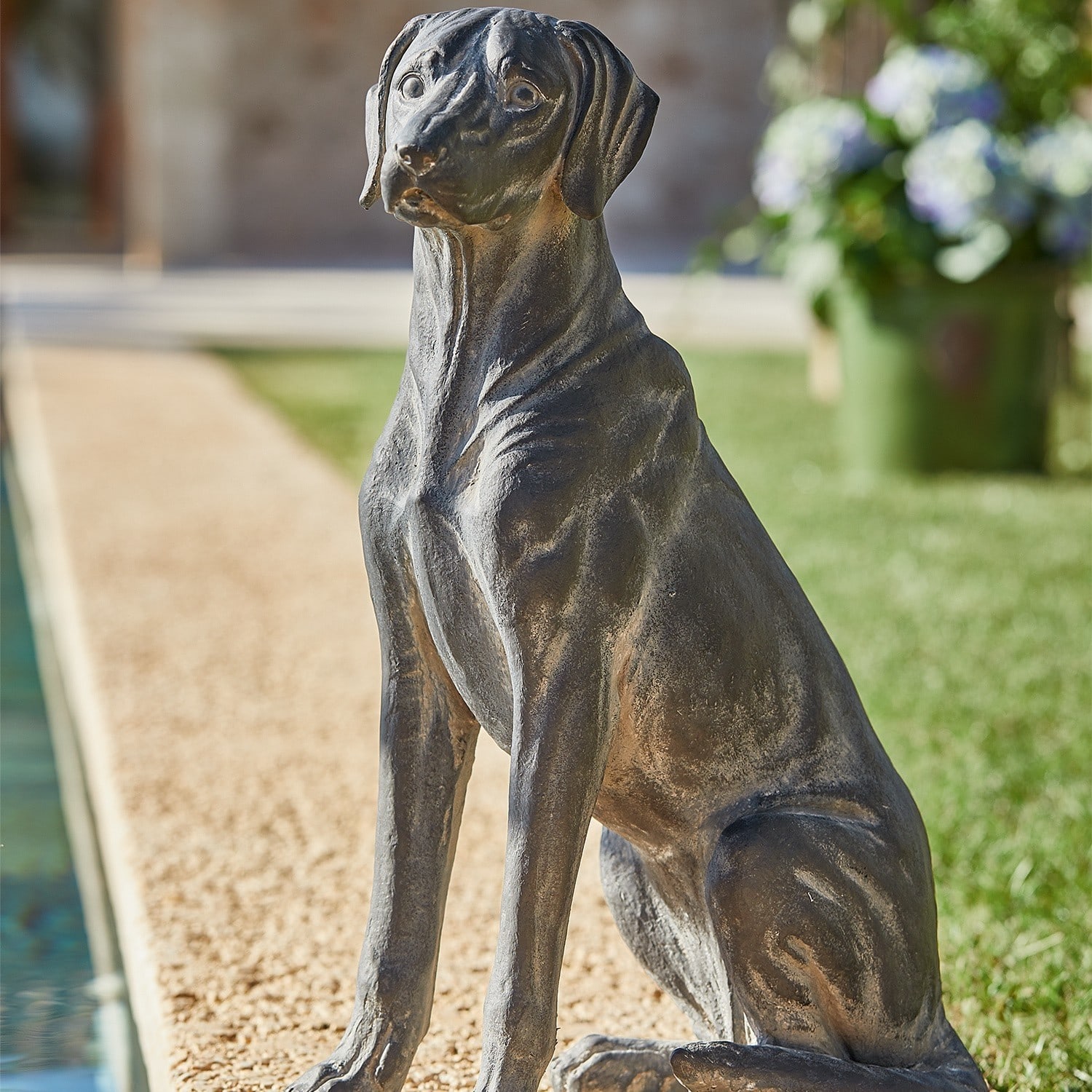 Hund Healy