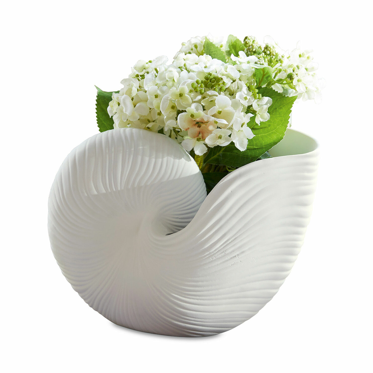 Übertopf Manteur Weiße Keramikvase in Muschelform mit Struktur, dekoriert mit weißen Blumen, modernes Design
