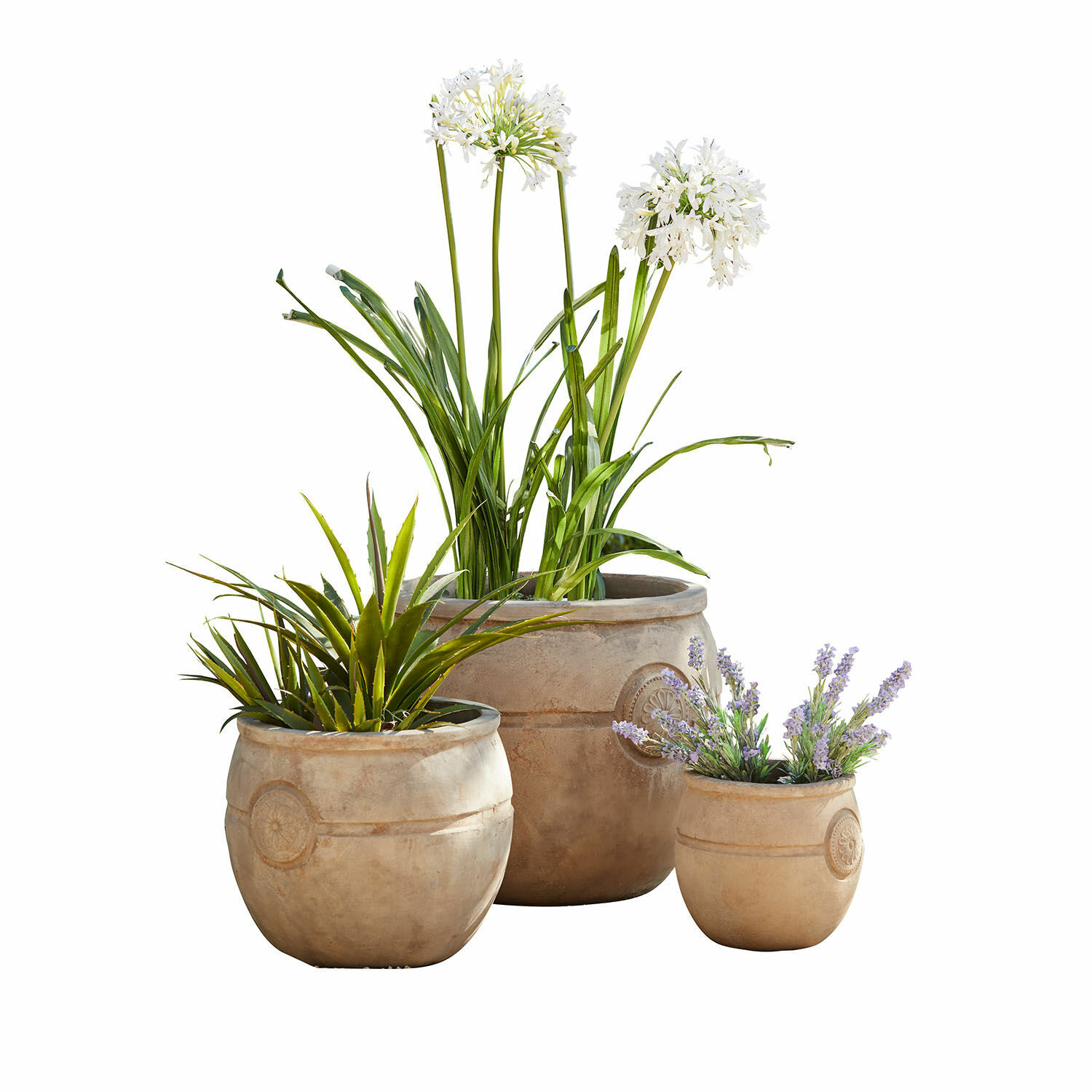 Pflanztopf 3er Set Clorivon Set aus drei beigen Pflanzgefäßen mit dekorativen Pflanzen für Garten und Zuhause