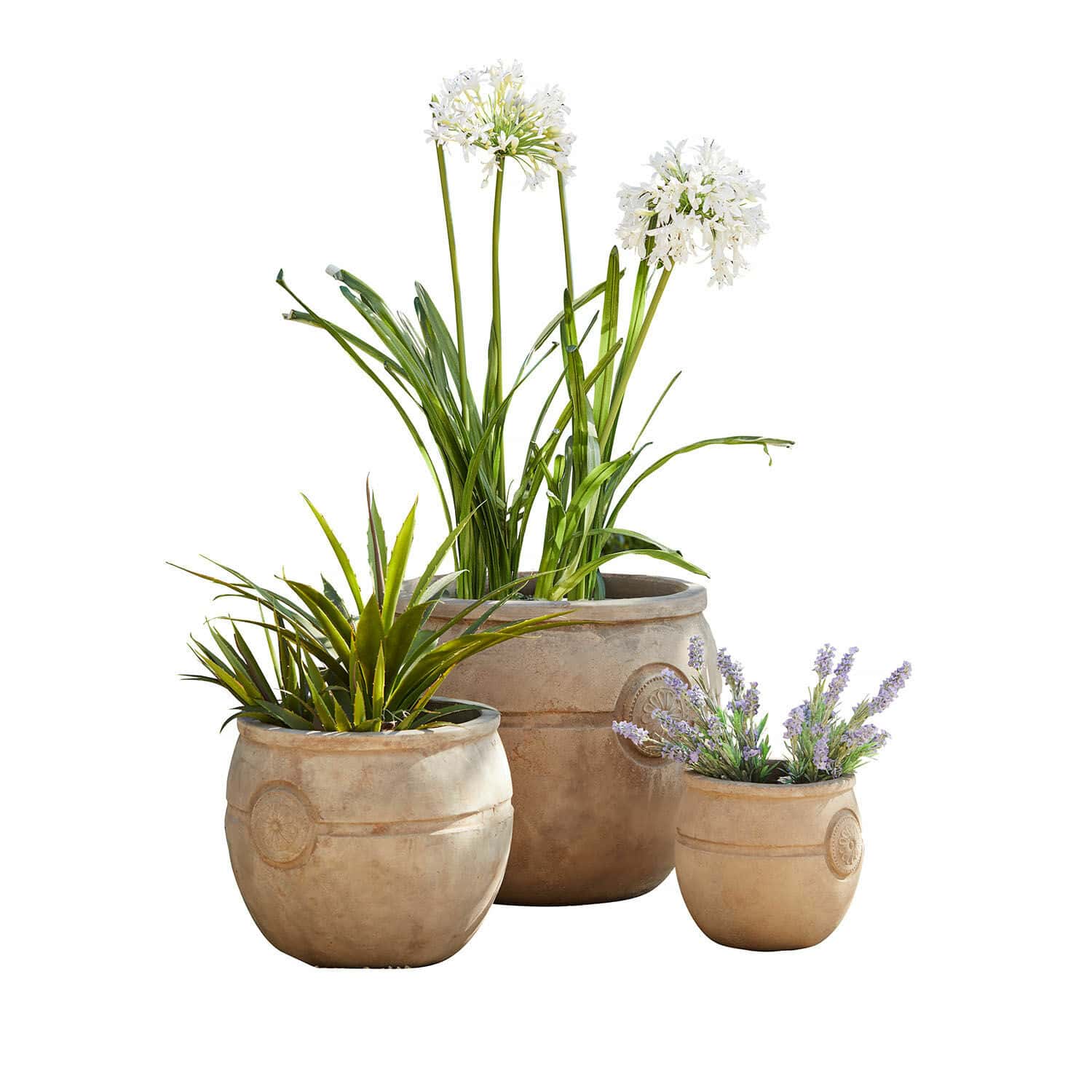 Pflanztopf 3er Set Clorivon Set aus drei beigen Pflanzgefäßen mit dekorativen Pflanzen für Garten und Zuhause