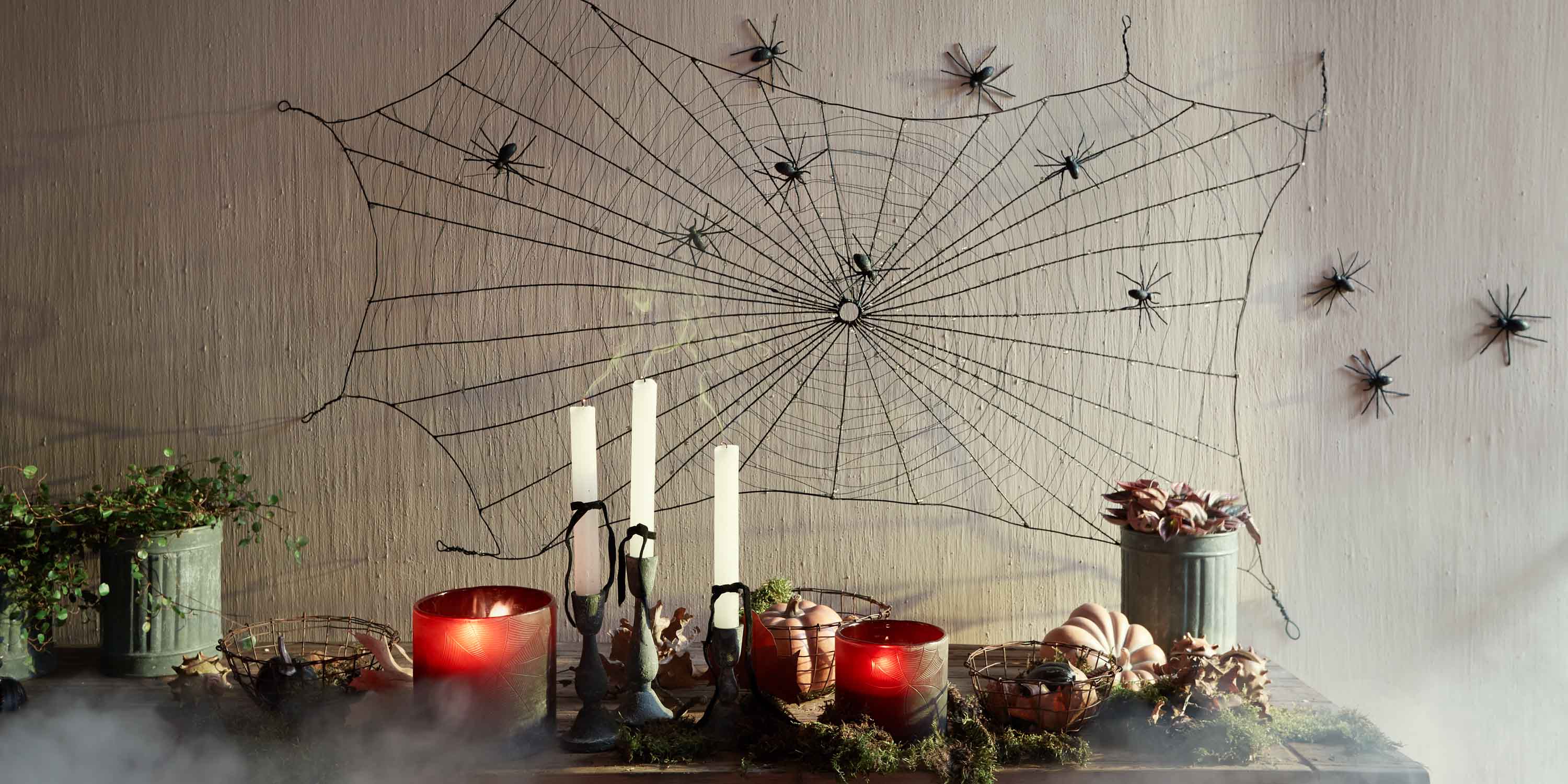 Im Netz der Spinne