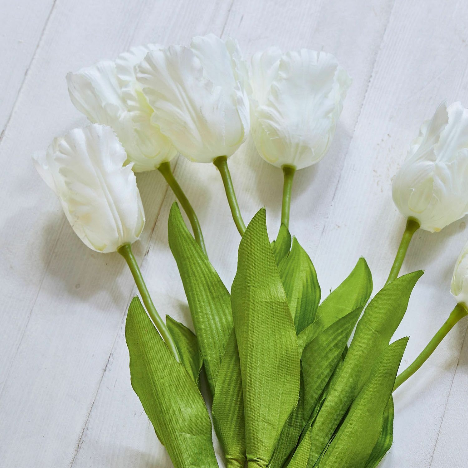Strauß weißer Tulpen mit grünen Blättern auf hellem Hintergrund, Frühlingsdekoration