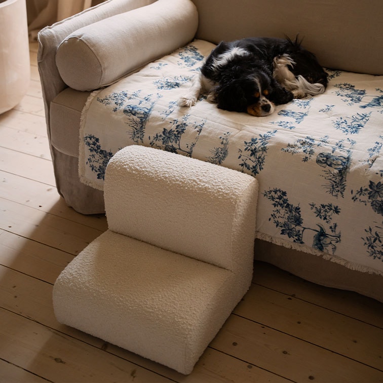 Kleiner weißer Plüsch-Hundesessel auf Holzboden neben Sofa mit schlafendem Hund auf blau-weißem Überwurf