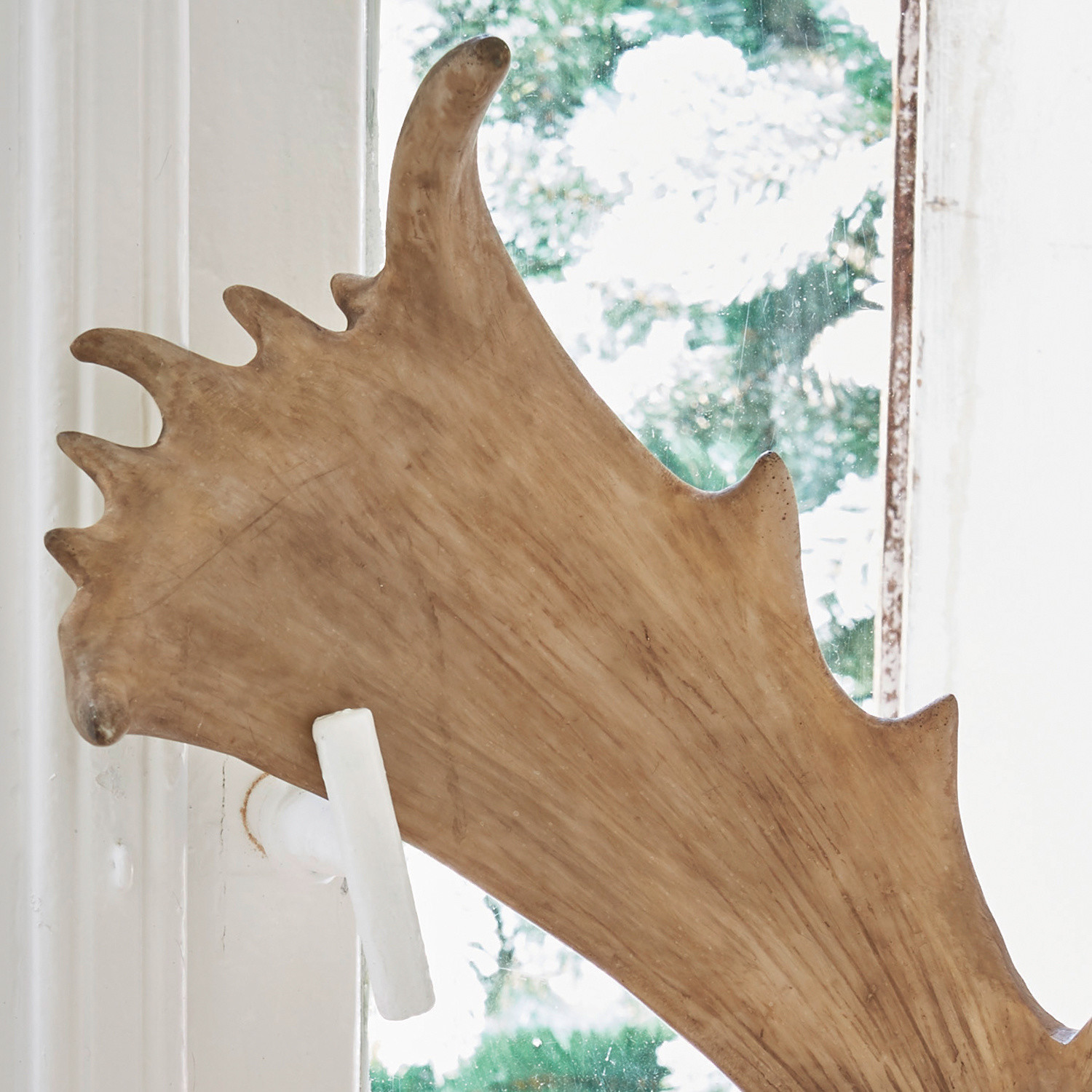 Deko-Geweih Laurence