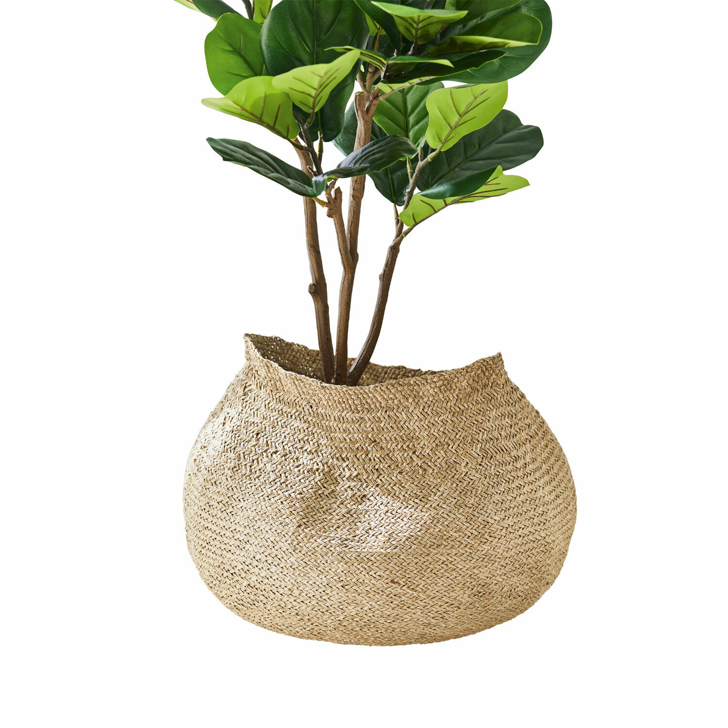 Korb Edvin