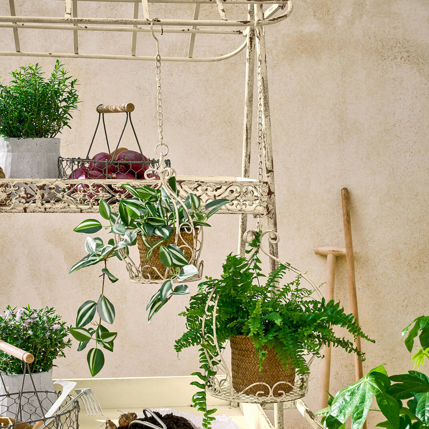 Metallregal in Creme mit hängenden Pflanzgefäßen und grünen Pflanzen, Gartenwerkzeuge im Hintergrund