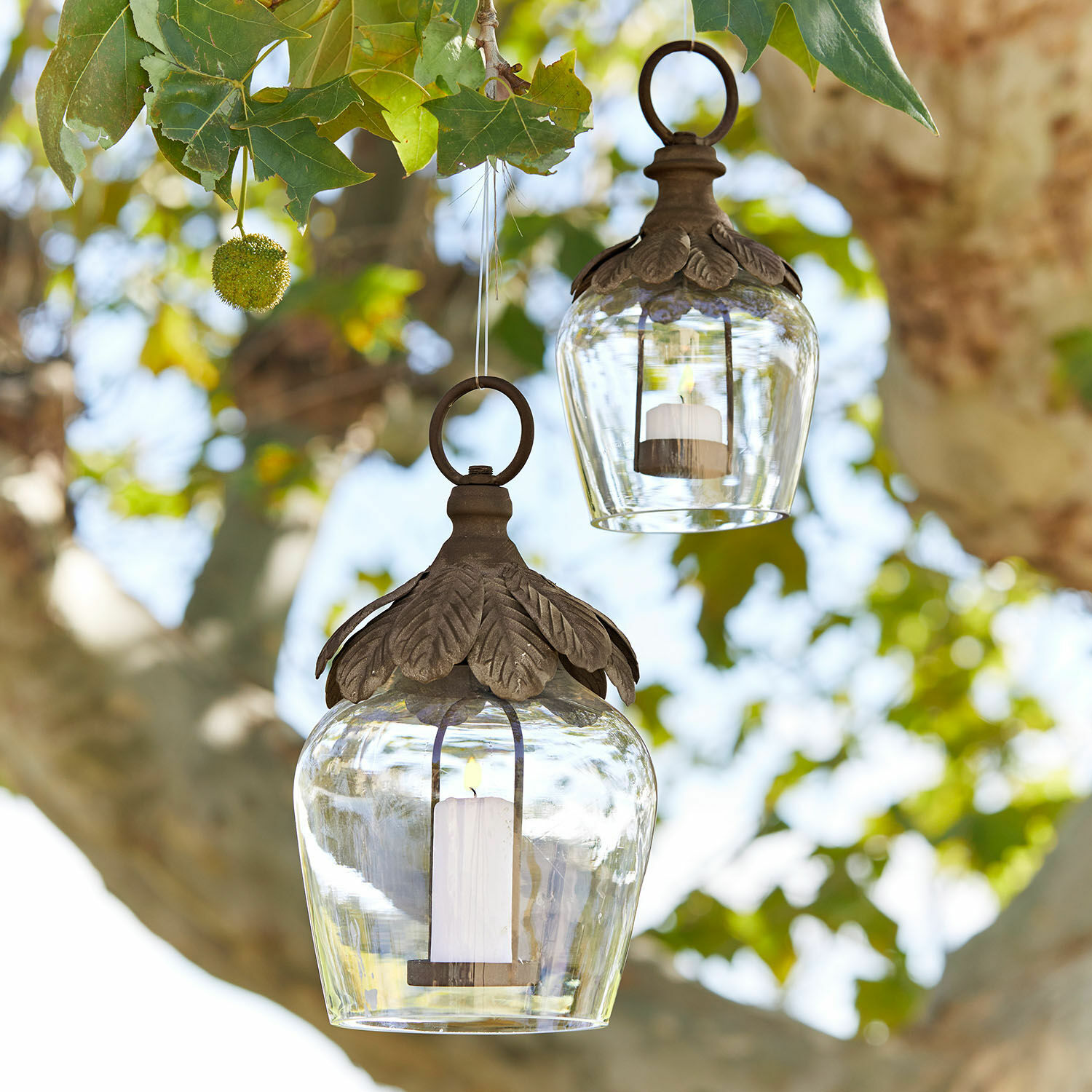 Hängelaterne 2er Set Tourillan Glaslaternen mit braunen Metallblättern, hängend an Baum, Gartendekoration mit Kerzenlicht