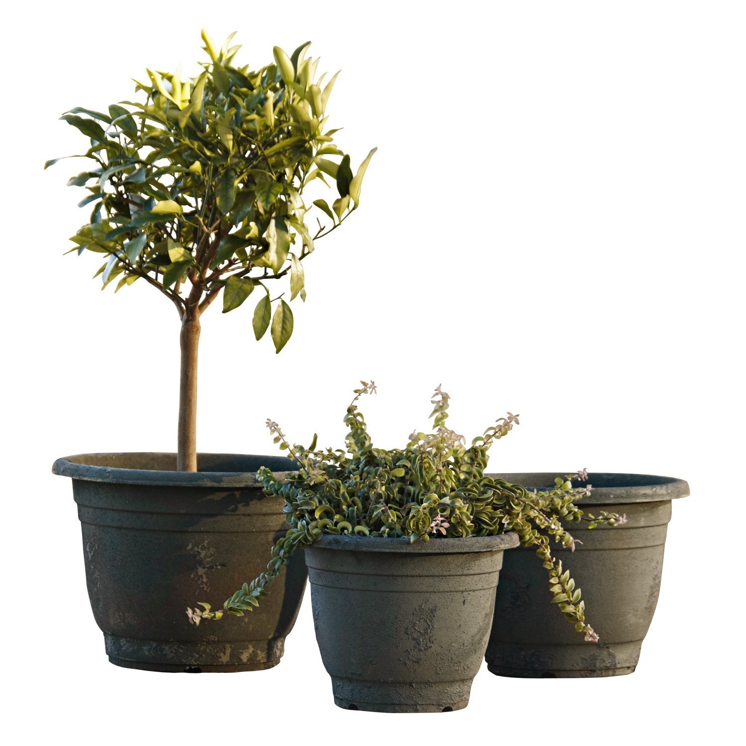 Übertöpfe 3er Set Roswell