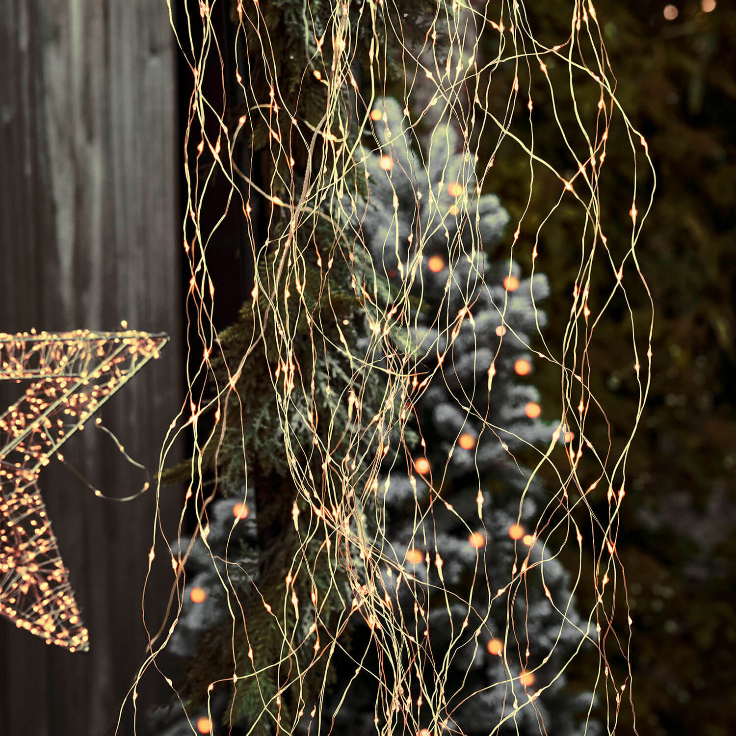Lichtervorhang Lysfjord Feine LED-Lichterkette mit warmen Lichtern, Weihnachtsdeko mit Stern und Tannenbaum im Hintergrund