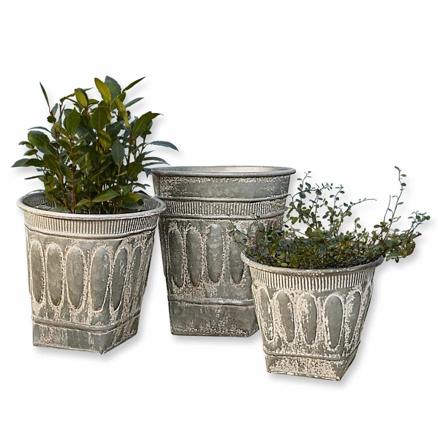 Übertopf 3er Set Bakersfield Set aus drei dekorativen grauen Metallblumentöpfen mit Pflanzen für Gartendekor