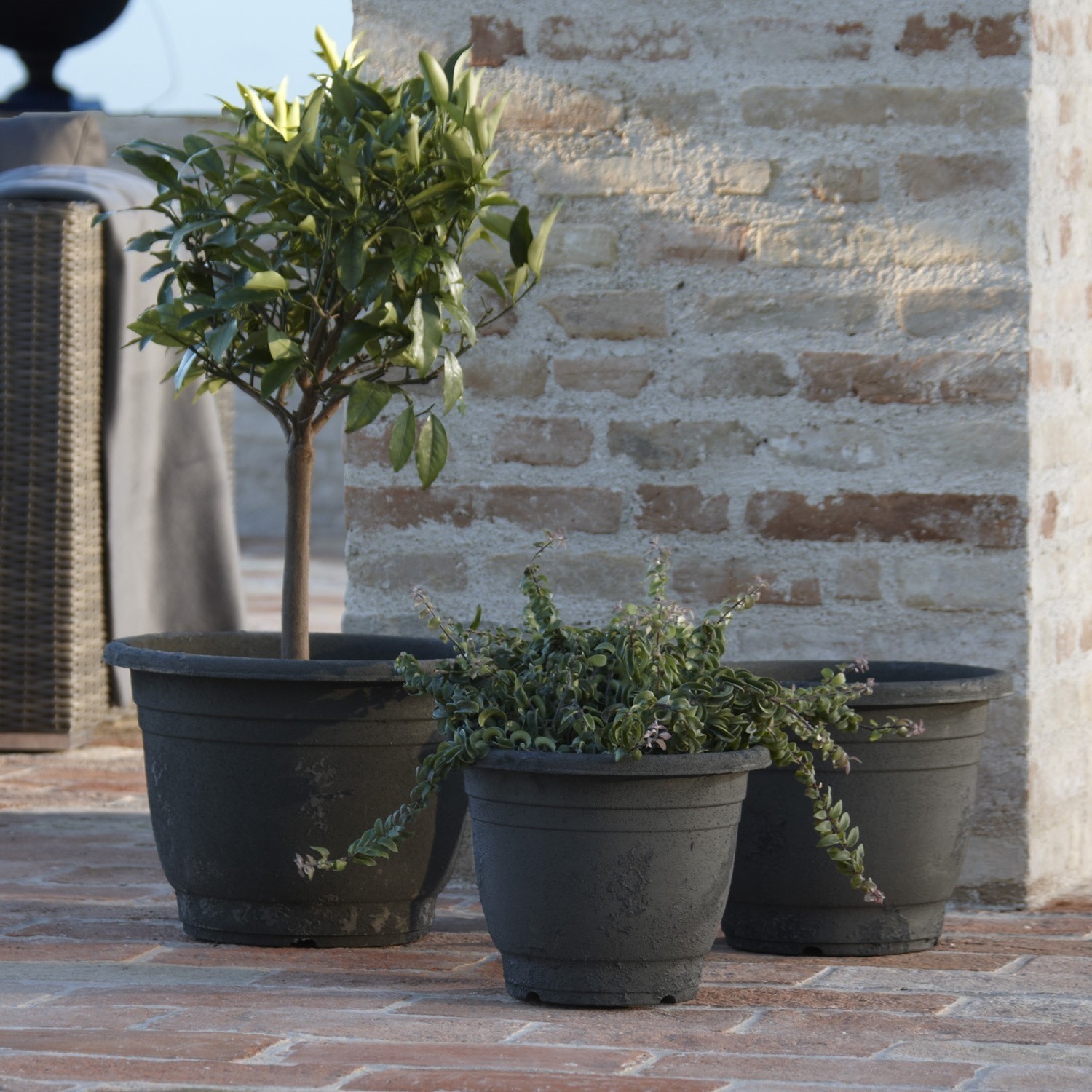 Übertöpfe 3er Set Roswell