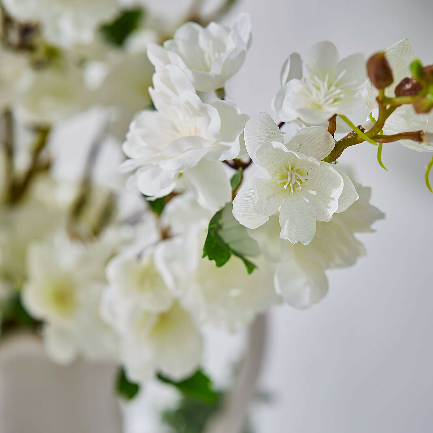 Weiße künstliche Blüten mit grünen Blättern an Zweig zur Wohnraumdekoration