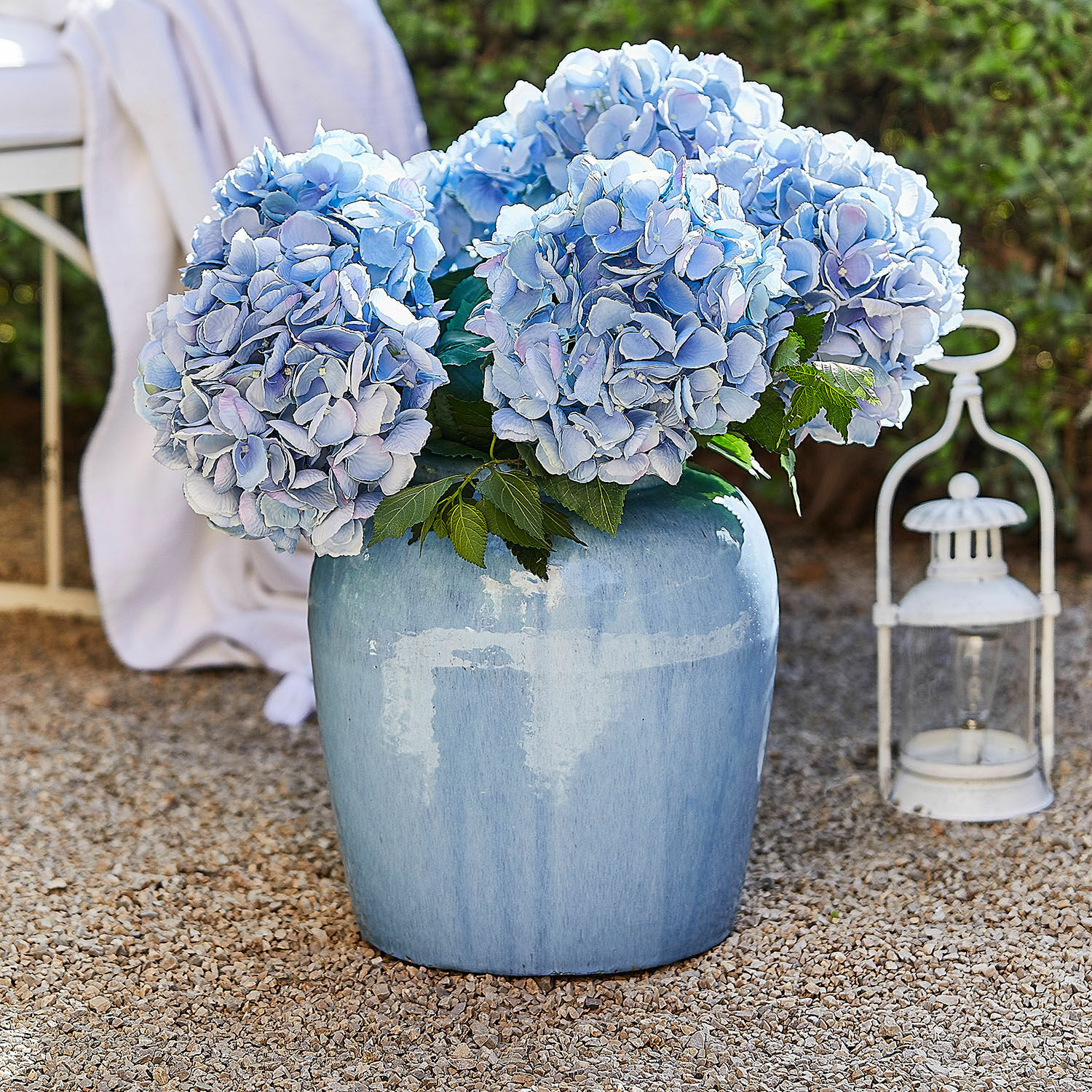 Vase Uxemir
