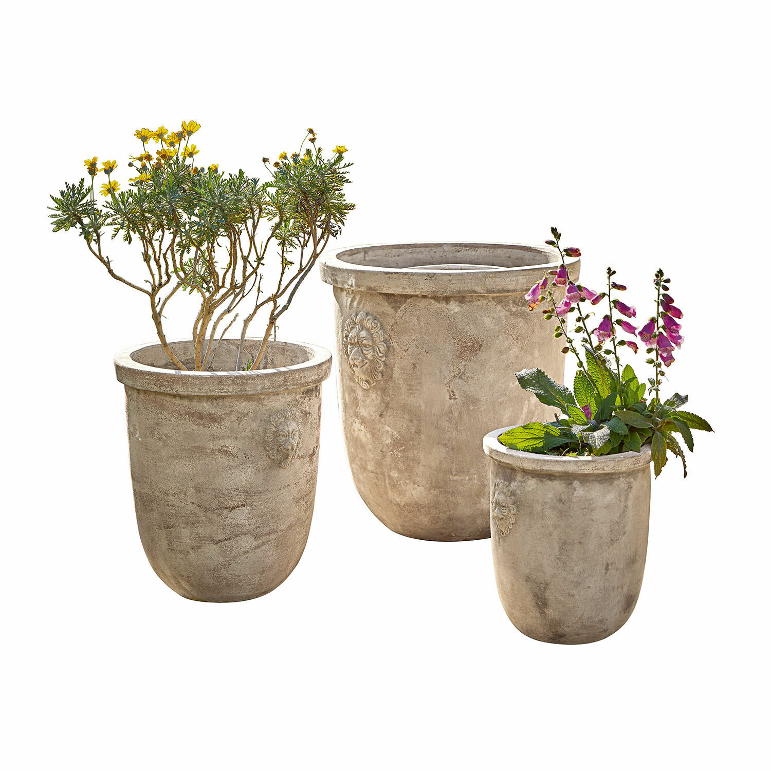 Übertopf 3er Set Autigny Drei graue Betontöpfe mit dekorativen Löwenköpfen, ideal für Gartenpflanzen