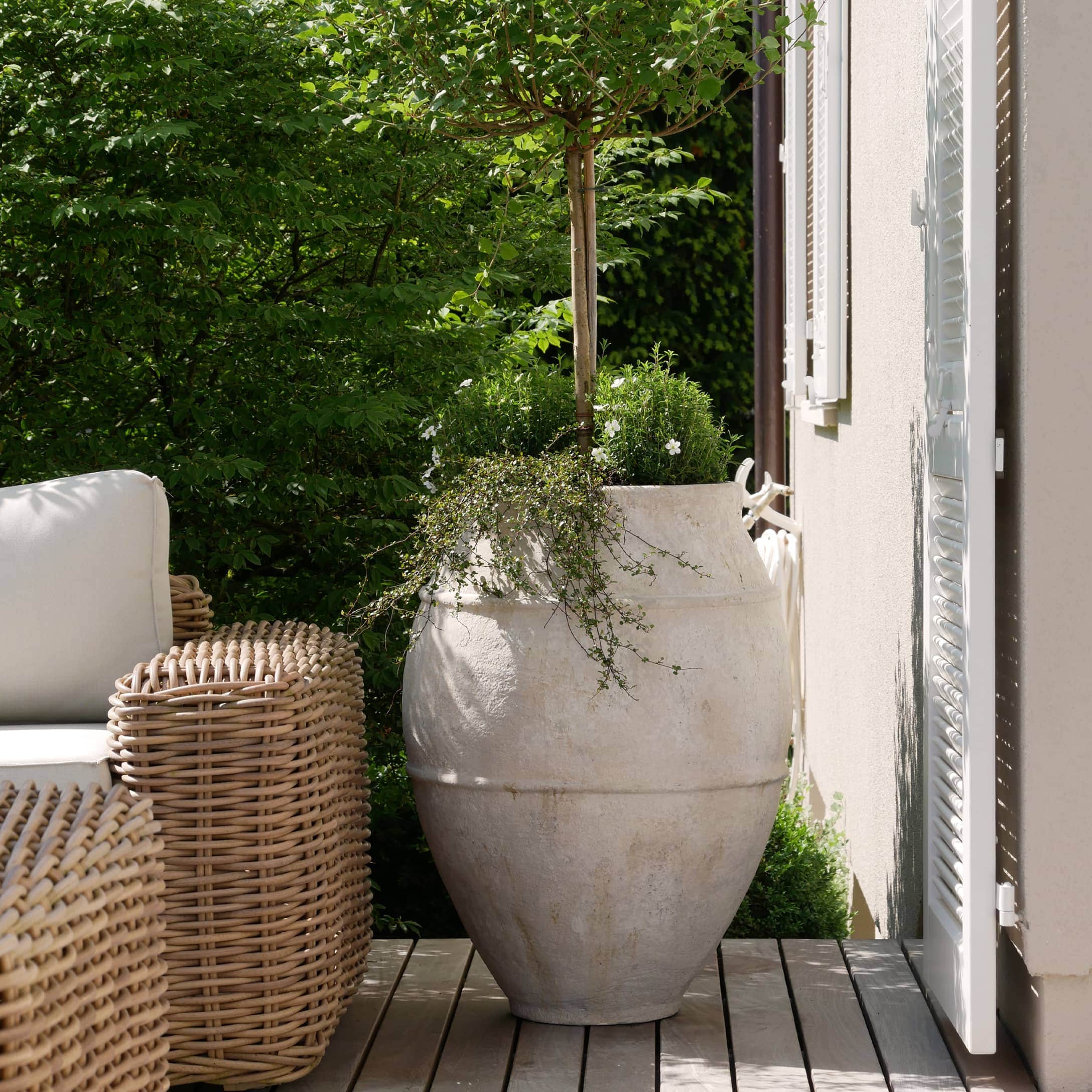 Großer weißer Keramiktopf mit grünem Baum auf Terrasse neben Korbsessel aus Rattan