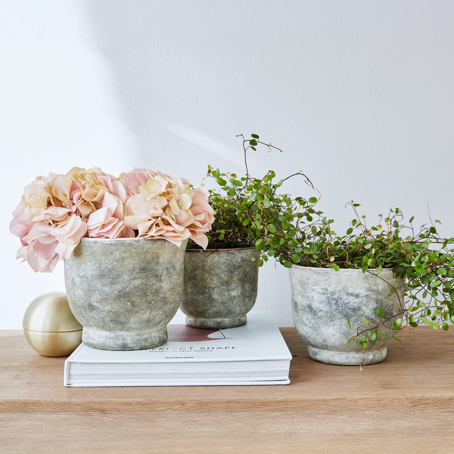 Drei graue Betontöpfe mit rosa Blumen und grünen Pflanzen auf hellem Holztisch