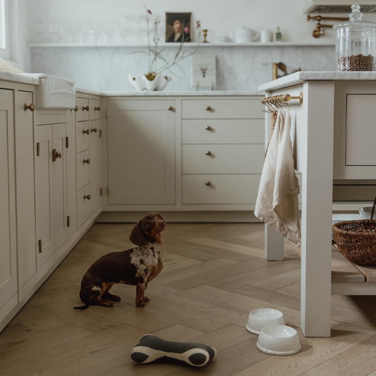 Vintage-Küche mit weißen Schränken und Holzboden, kleiner Dackel sitzt in der Mitte